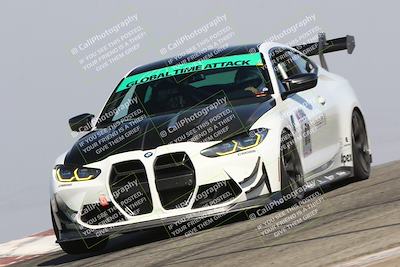 media/Nov-10-2024-GTA Finals Buttonwillow (Sun) [[9486b6e4c5]]/Group 2/Session 2 (Grapevine)/